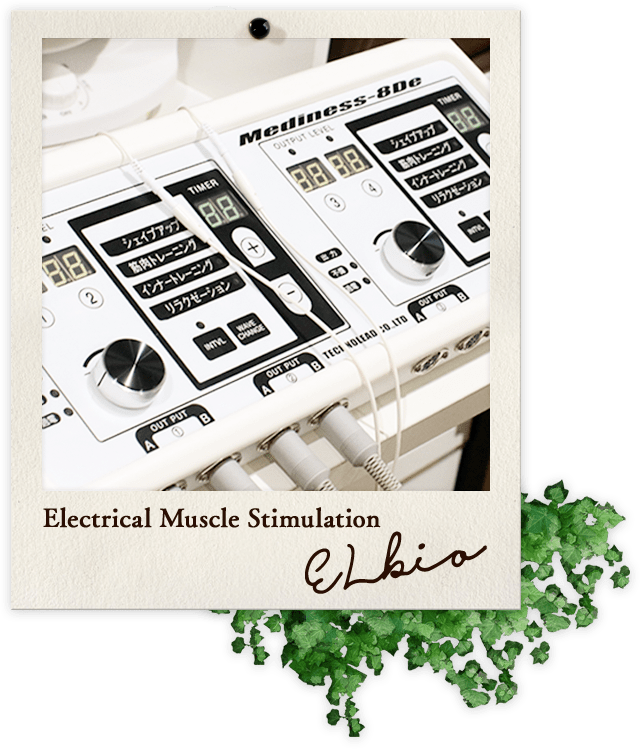 Electrical Muscle Stimulation